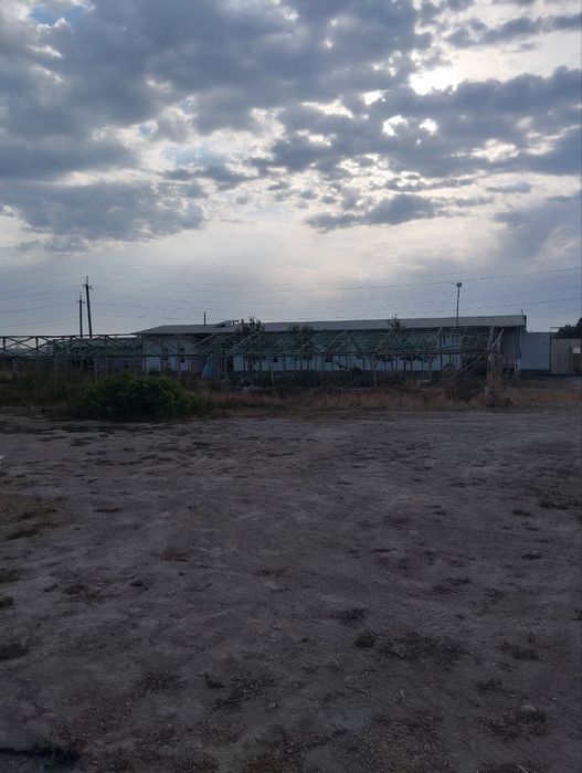 Янгийўл тумани Калган ҳудудида жойлашган 80 сотих ер сотилади