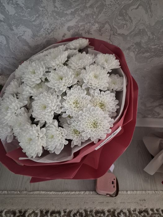 Продам цветочки красивые