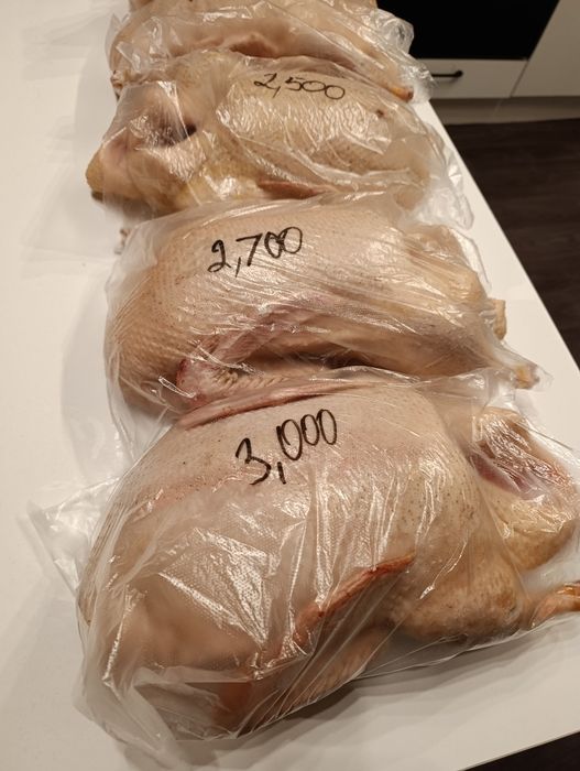 Продам домашних уток,находимся в Имантау.