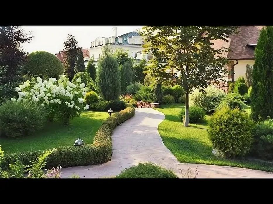 Косим траву, уход за газоном