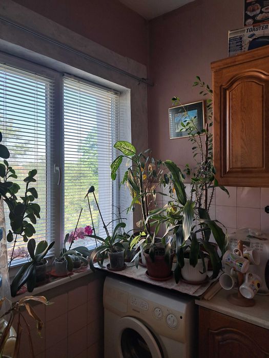 Продава се Тристаен апартамент в с. Черно море, Област Бургас - 84 кв.м за 727 €/кв.м - Снимка #4