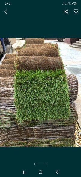 Готовый Газон также ландшафтный дизайн