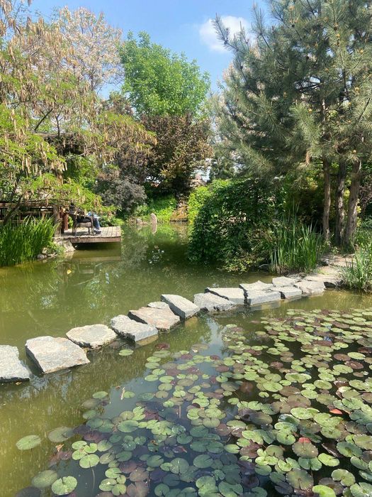 Трансфер в Самарканд. Туры. Микроавтобус  HYUNDAI, электрокар, седаны