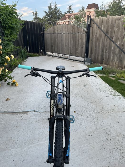 Canyon Downhill TORQUE