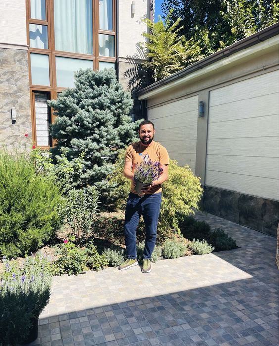 Саженцы ЛАВАНДЫ в продаже