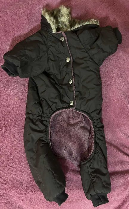 одежда для маленьких собак