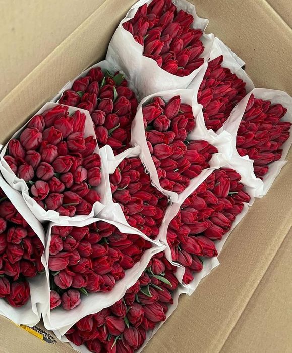 Тюльпаны хрустящие