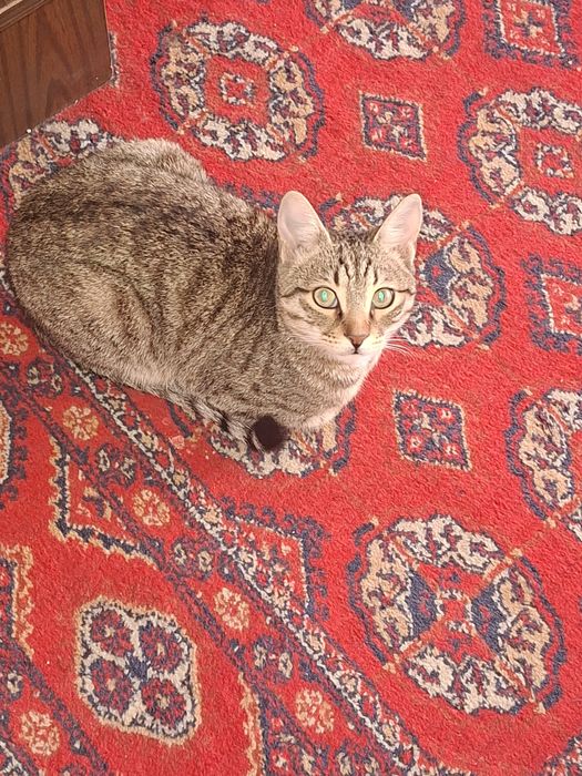 От дам добрые руки очень послушные