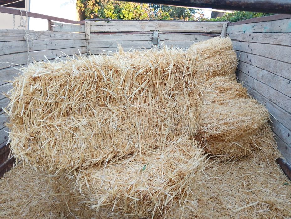 Сабан пресс Салома