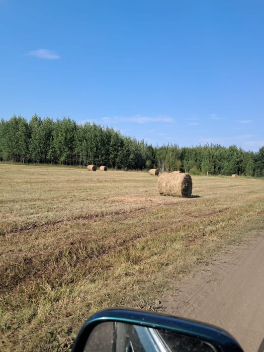 Продам лесное сено 2026 года