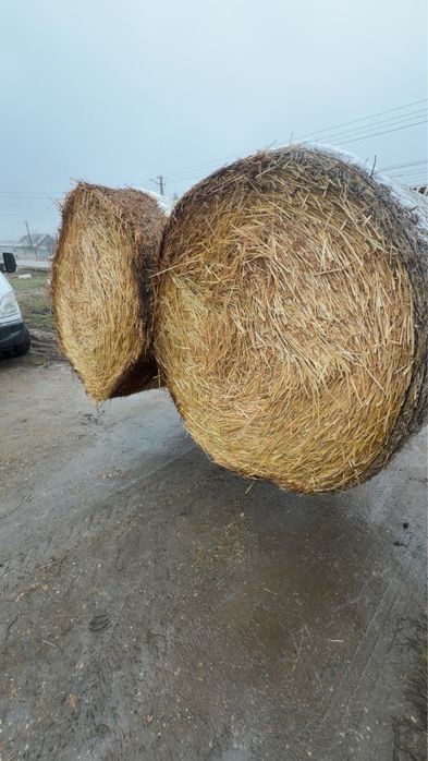 Vand paie de orz si grau