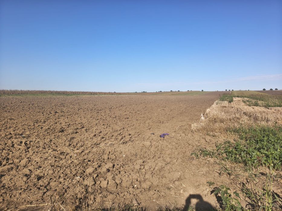 Teren arabil, extravilan Movilita