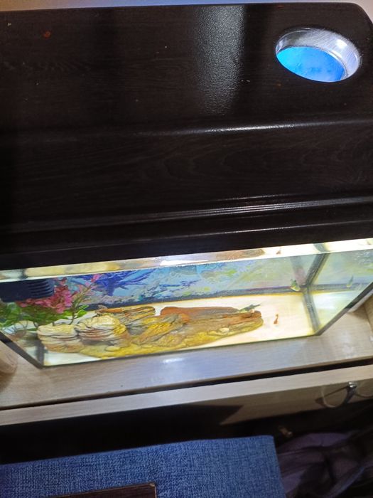 Продам аквариум 20л