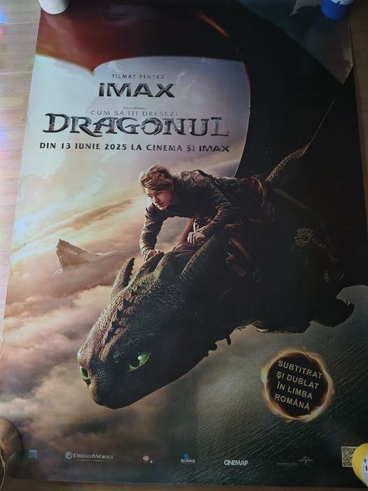 Poster Film - Cum sa ți dresezi dragonul
