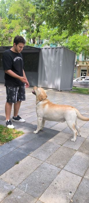 Инструктор дрессировщик