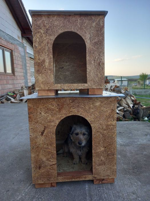 Vxnd casuta pentru animale de companie