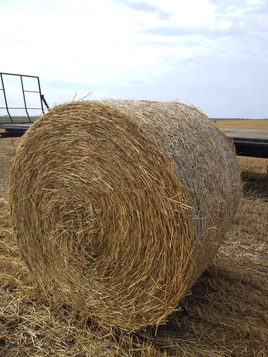 Baloți Paie 155/120