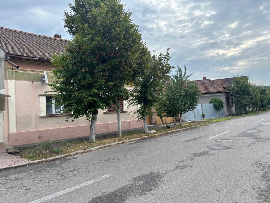 Casă de vânzare ultracentral Salonta, front stradal 27 ml