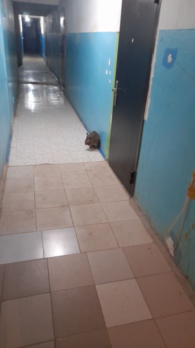 Продам срочно квартиру