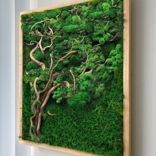 Картины из мха. Декор панели мох