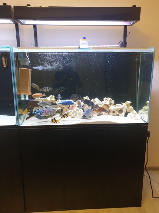 Продам Аквариум с рыбками и с тмбочко 30 штук.