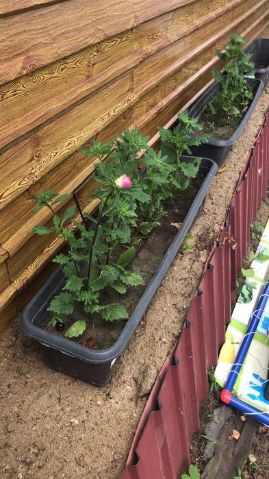 Дача 42кв.м п. Солнечный