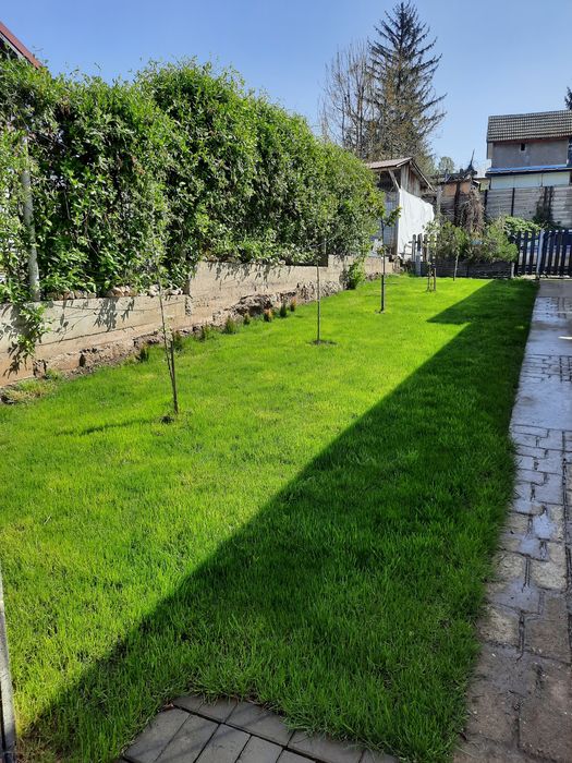 Gazon rulou sisteme de irigat