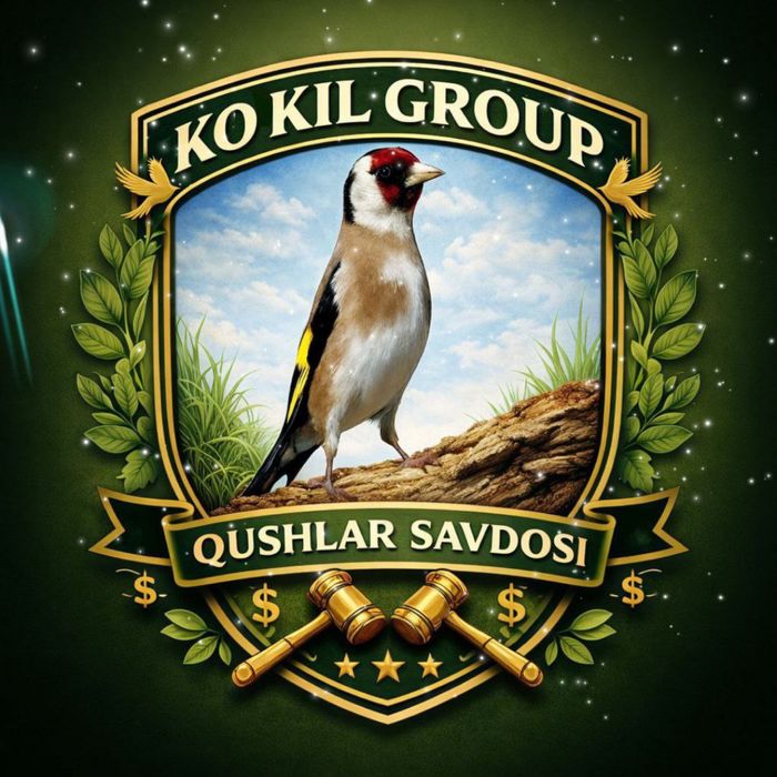 kokil norchi sotiladi