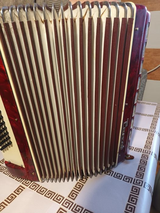 Vând acordeon parrot