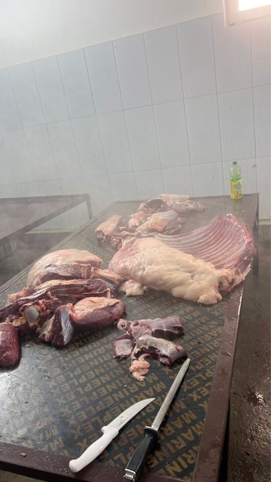 Сиыр, жылқы еті/мясо конины, телятины