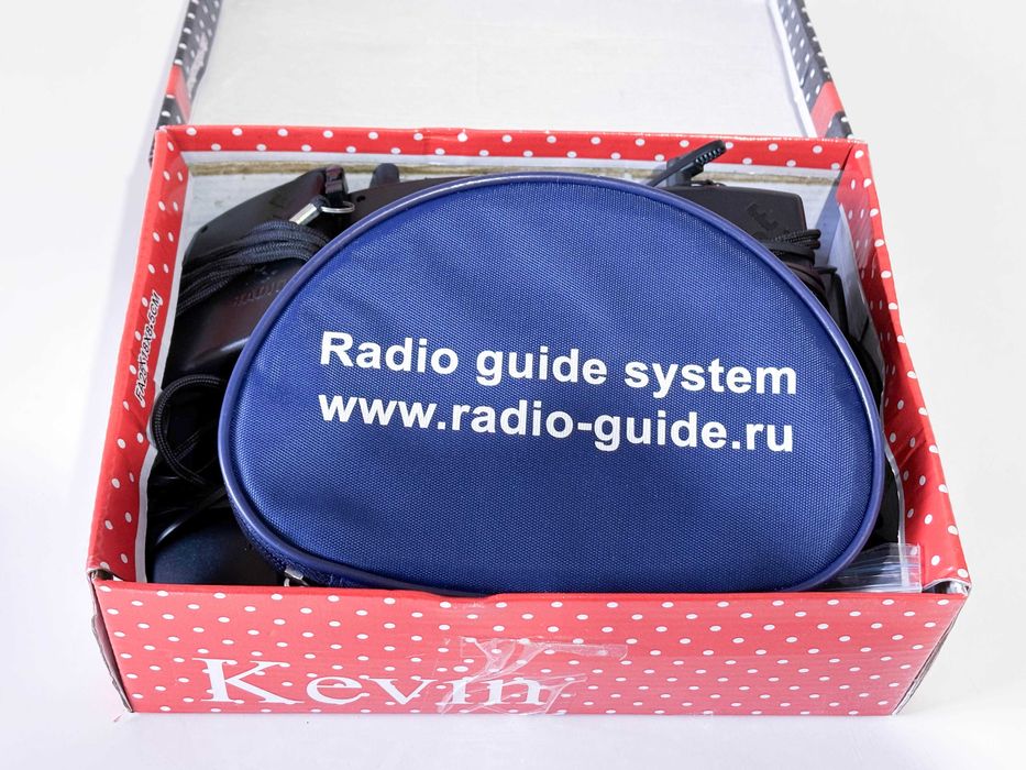 Радиогид система