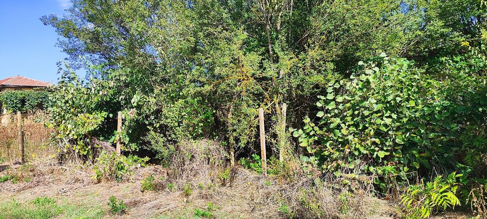Продава се Парцел в с. Медово, Област Добрич - 2540 кв.м за 2 €/кв.м - Снимка #3
