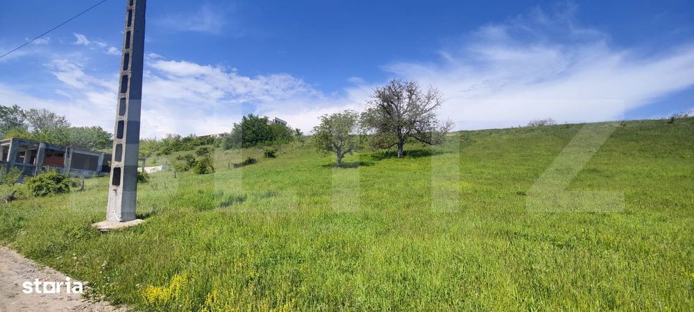 Teren Panoramic 15.500 mp – Investitie sau Dezvoltare, Zona Aleea Ma