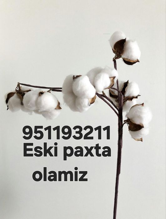 Paxta olamiz eski kurpa kurpachalar