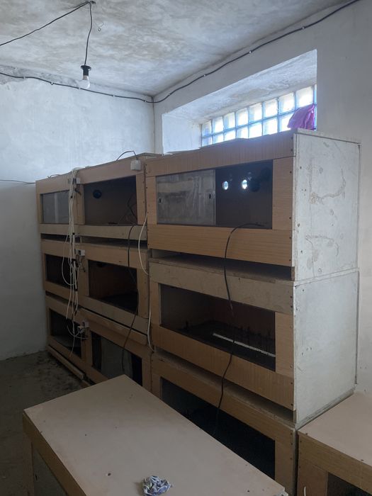 Брудеры для цыплят