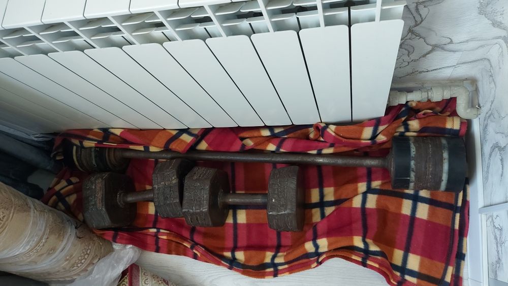 Штанга и гантели