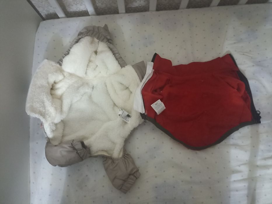 Одежда для маленькой собаки или кошки