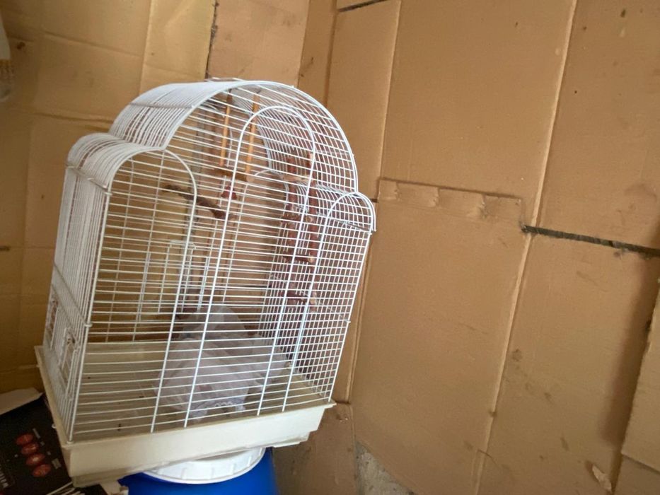 Клетка для попугайчиков