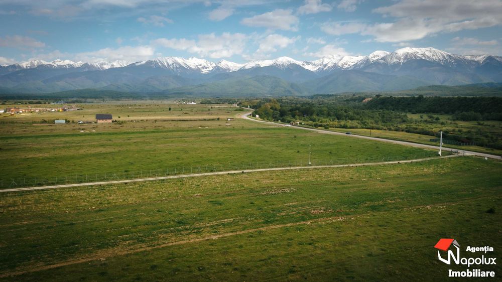 Teren superb zona Valea Avrigului