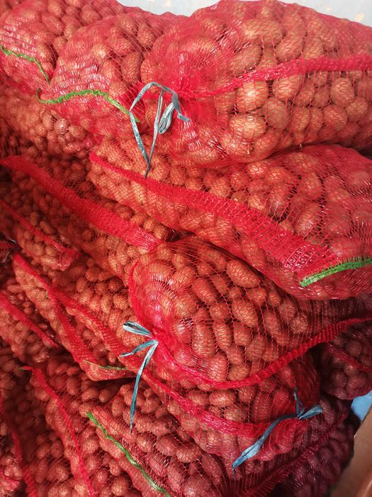 Vând cartofi pentru animale.