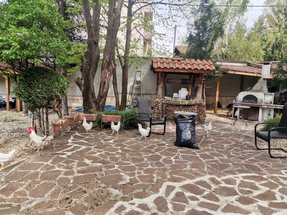 Дава се под наем Къща в София, Витоша - 300 кв.м за 61.2 € - Снимка #3