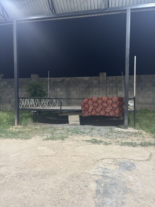 Тапчан агаштарымен