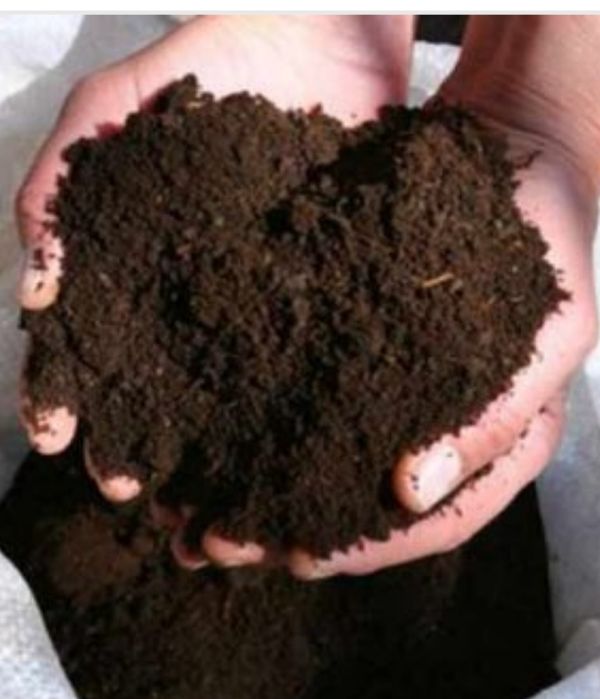 Калифорния кизил чувалчанглари ва биогумус