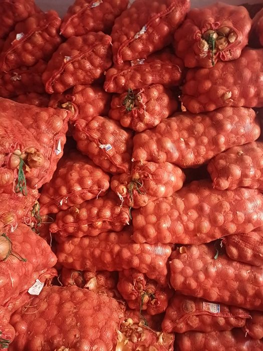 Лук репчатый сухой 30 тонн