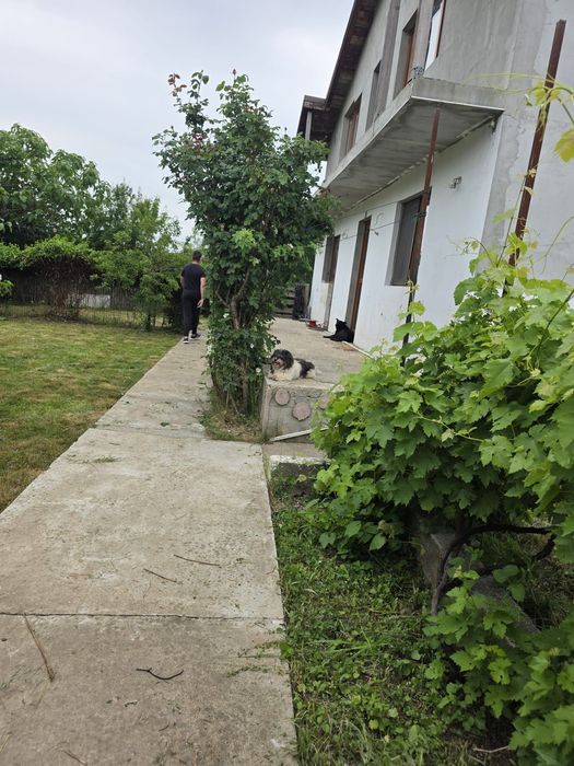Vând casă Ilfov Branesti