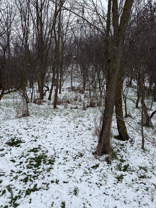 Casa comuna Dragoesti, judetul Valcea