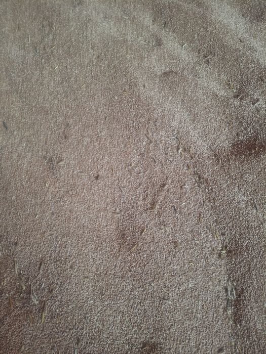 Vând triticale recolta 2026
