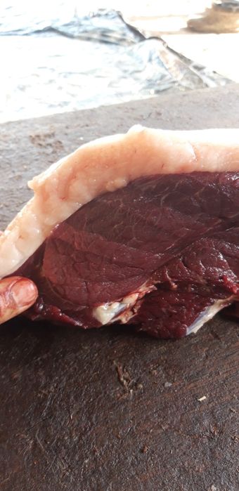 Жылқы  еті  2700 наличка