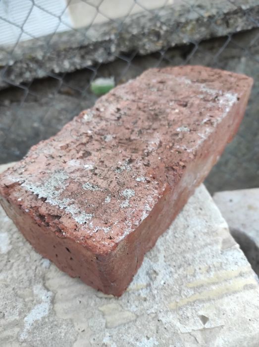 Единични плътни или с отвори тухли