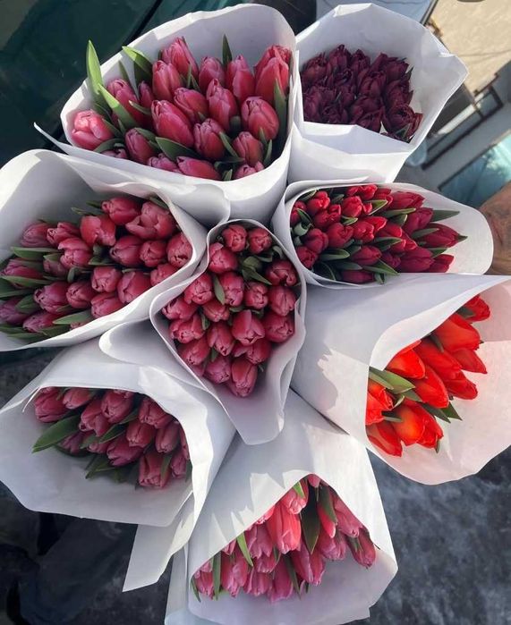 Тюльпаны на 8 марта - Астана